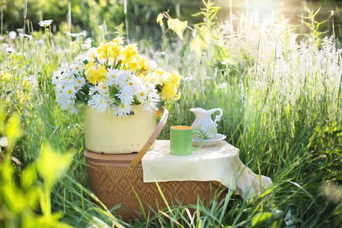 Bild på picknick-korg och blombukett på en äng